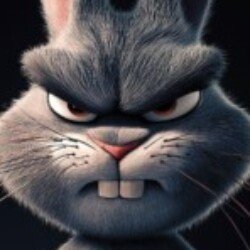 Profile photo of Rayan