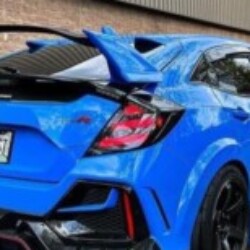 Profile picture of Saman