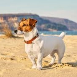 Profile picture of Russ