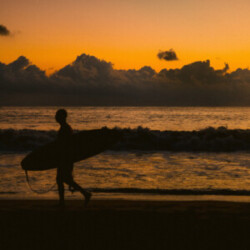 Profile picture of Wishva