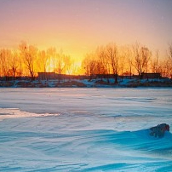 Profile photo of Yasa