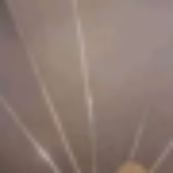 Profile picture of Sandaruwan