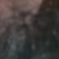 Profile picture of Kevin5566