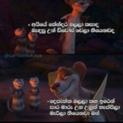 Profile picture of Buddhika