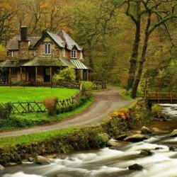 Profile photo of Menosh Fernando