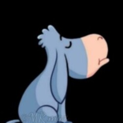 Profile picture of Kavin San