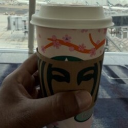 Profile picture of Black boss