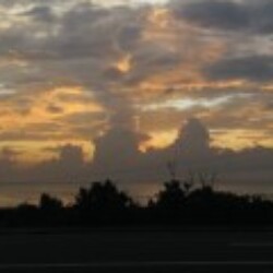 Profile picture of Shehan Perera