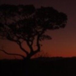 Profile photo of Supun Sandaruwan