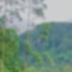 Profile picture of Suresh