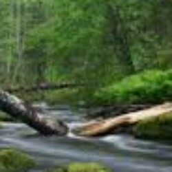 Profile photo of Wow LK