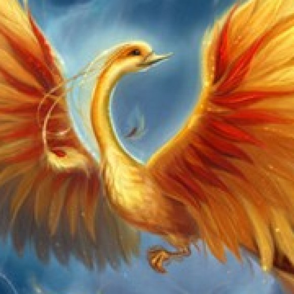 Profile picture of Alokaravi