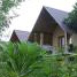 Profile picture of shaset1974