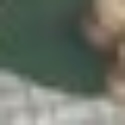 Profile picture of Thinaruka