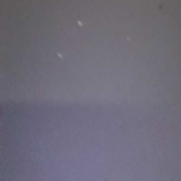 Profile photo of ShaneJay