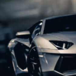 Profile picture of dinal