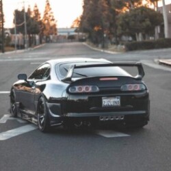 Profile photo of Iroshana