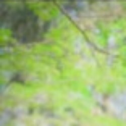 Profile picture of Sathira