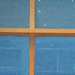 Profile picture of trustful