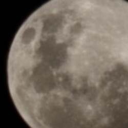 Profile photo of Nishan