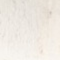 Profile picture of Pramodya Wijerathna