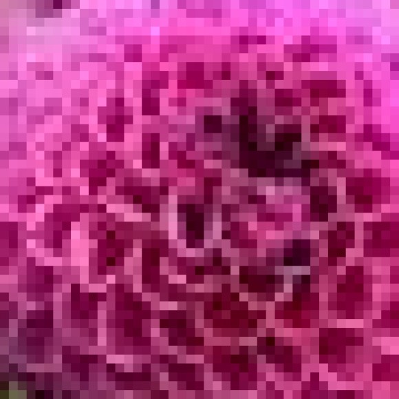 Profile photo of kamalraj