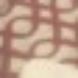 Profile picture of Sahama