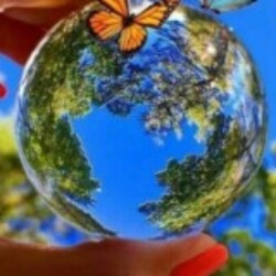 Profile photo of Charith dilshan