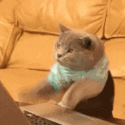 Profile picture of Dimuthu Maduranga