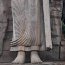 Profile photo of Rajith Harshana somarathne