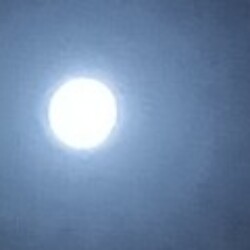 Profile photo of Naraian