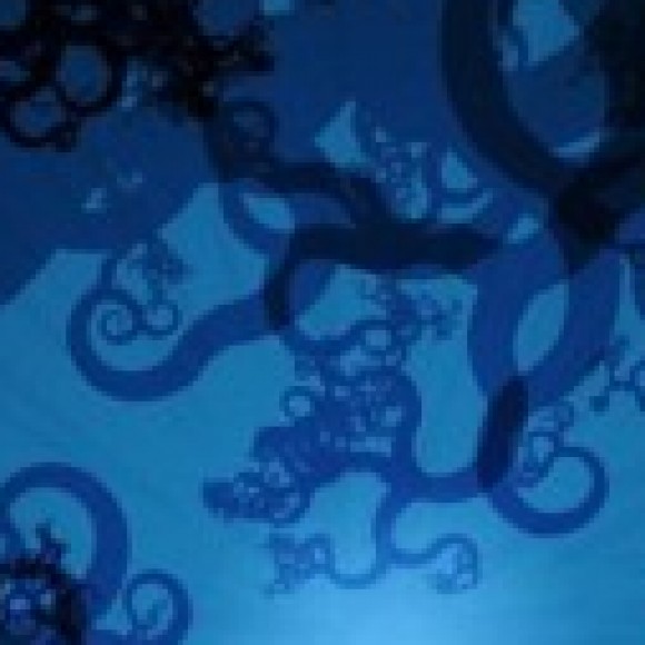 Profile photo of chaminda lakshan