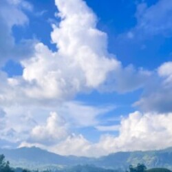 Profile picture of Raj