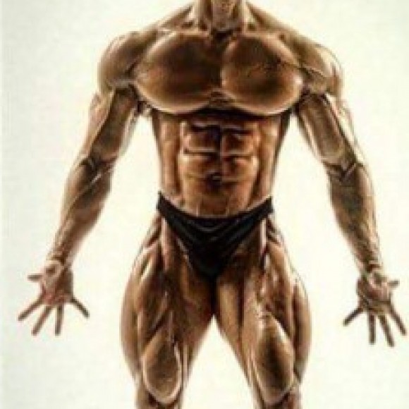 Profile picture of suneth