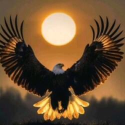 Profile picture of Avishka