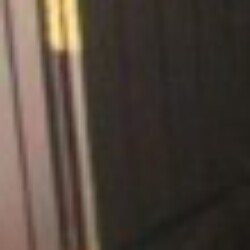 Profile picture of Kevin