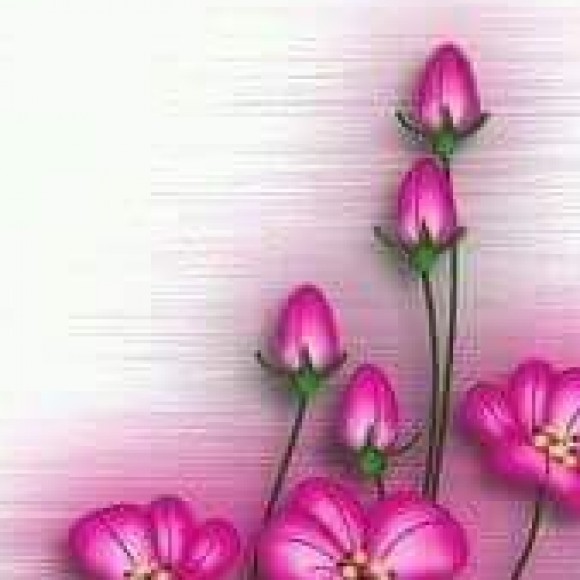 Profile photo of Nuwan
