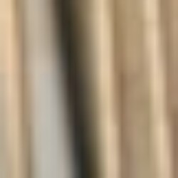 Profile picture of Lathushan