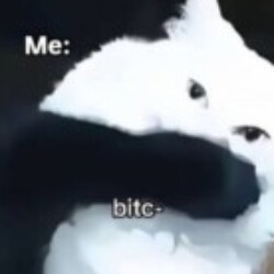 Profile picture of Senuka