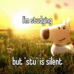 Profile picture of Kung