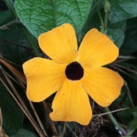 Profile photo of Maduka rajapaksha