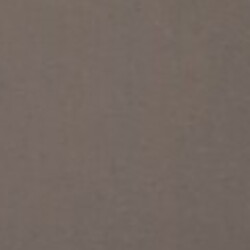 Profile picture of Sasindu