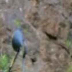 Profile picture of Prasanna