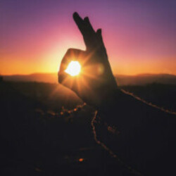 Profile picture of Beni