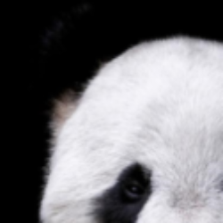 Profile picture of Nipun