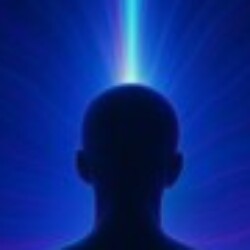 Profile picture of Nishan