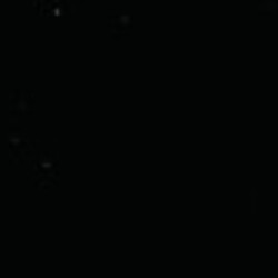 Profile photo of umi