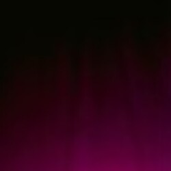 Profile picture of Animal Hunter