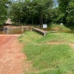 Profile picture of sandaru pivithuru