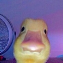 Profile photo of Janani